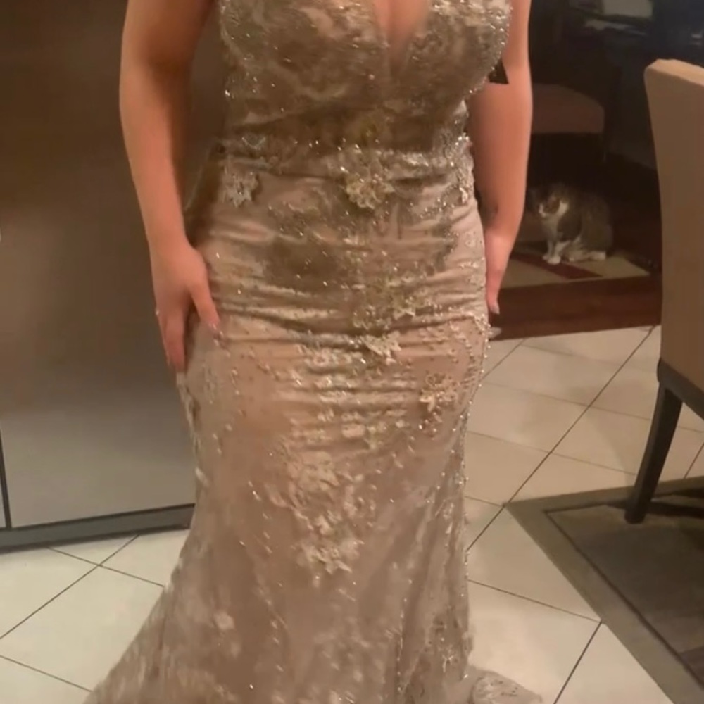 Women evening gown